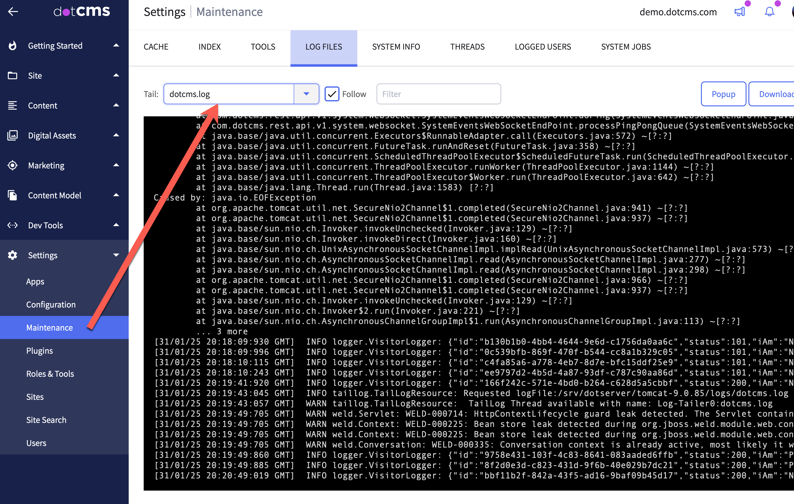 Troubleshooting Development in Traditional dotCMS Implementations
