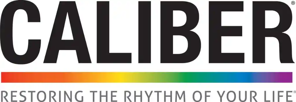 Partner Caliber logo