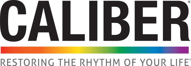 Partner Caliber logo